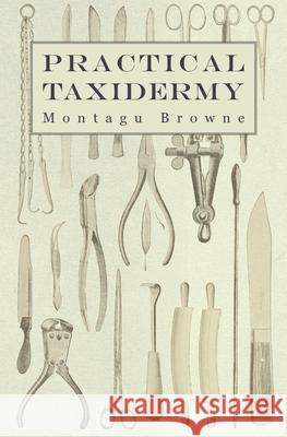 Practical Taxidermy: A Manual of Instruction to the Amateur in Collecting, Preserving, and Setting up Natural History Specimens of All Kind Browne, Montagu 9781905124367 Read Country Books - książka