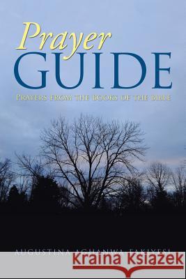 Prayer Guide: Prayers from the Books of the Bible Augustina Aghanwa-Fakiyesi 9781504372923 Balboa Press - książka