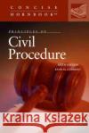 Principles of Civil Procedure Kevin M. Clermont 9781647083458 West Academic