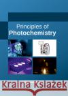 Principles of Photochemistry Nehemiah Wyatt 9781635492187 Larsen and Keller Education
