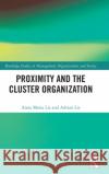 Proximity and the Cluster Organization Anna Maria Lis Adrian Lis 9781032046341 Routledge