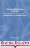 Psychoanalysis Meets Psychosis: Attachment, Separation, and the Undifferentiated Unintegrated Mind Michael Robbins 9780367191153 Routledge