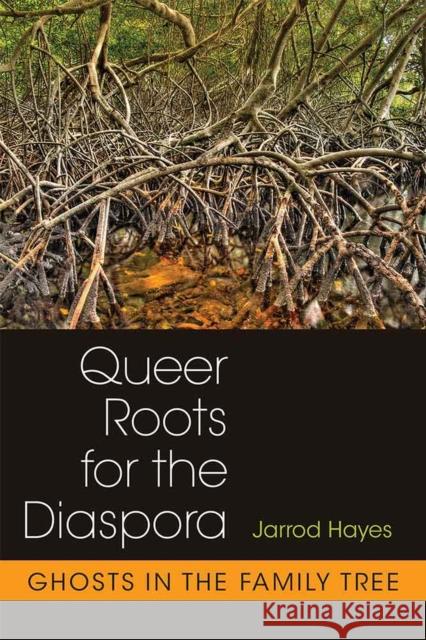 Queer Roots for the Diaspora: Ghosts in the Family Tree Jarrod Hayes 9780472073160 University of Michigan Press - książka