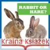 Rabbit or Hare? Jamie Rice N/A 9781636903491 Bullfrog Books