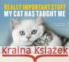 Really Important Stuff My Cat Has Taught Me Cynthia L. Copeland 9781523501489 Workman Publishing