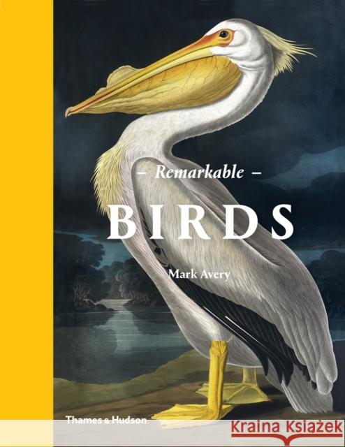 Remarkable Birds Mark Avery 9780500518533 Thames & Hudson - książka
