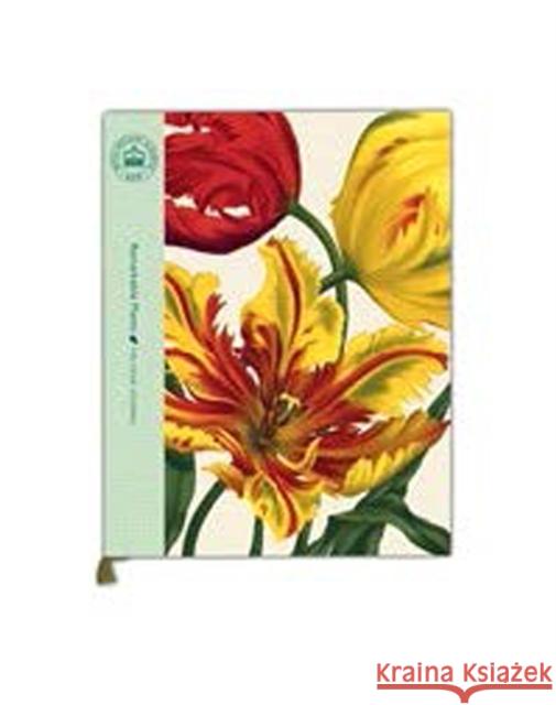 Remarkable Plants: Five-Year Journal   9780500420287 Thames & Hudson Non Book - książka