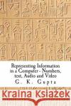 Representing Information in a Computer: Numbers, Text, Audio and Video Dr G. K. Gupta 9781466495555 Createspace