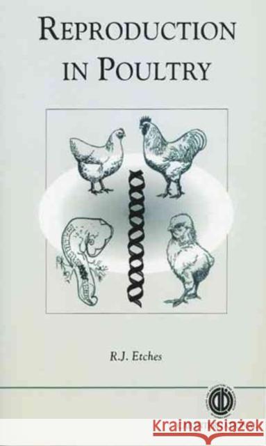 Reproduction in Poultry  9780851987385 CABI Publishing - książka