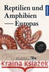 Reptilien und Amphibien Europas Kwet, Axel 9783440167557 Kosmos (Franckh-Kosmos)