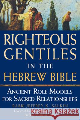 Righteous Gentiles in the Hebrew Bible: Ancient Role Models for Sacred Relationships Salkin, Jeffrey K. 9781580233644  - książka