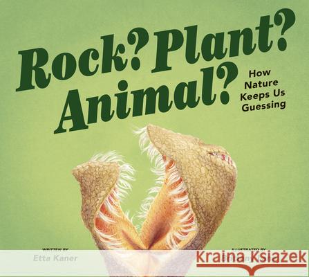 Rock? Plant? Animal?: How Nature Keeps Us Guessing Etta Kaner Brittany Lane 9781771474443 Owlkids - książka