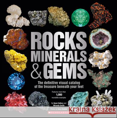 Rocks, Minerals & Gems Inc. Scholastic 9780545947190 Scholastic - książka