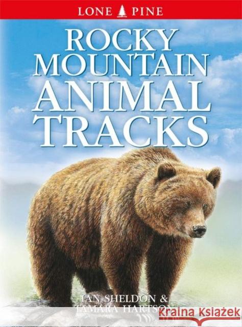 Rocky Mountain Animal Tracks Ian Sheldon, Gary Ross, Horst Krause 9781774510292 Lone Pine Publishing,Canada - książka