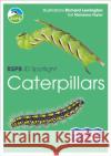 RSPB ID Spotlight - Caterpillars Marianne Taylor 9781472989116 Bloomsbury Publishing PLC