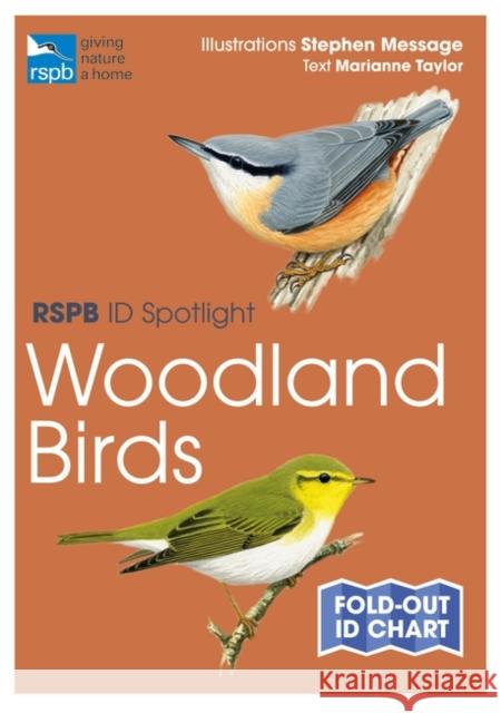 RSPB ID Spotlight - Woodland Birds Marianne Taylor 9781472989109 Bloomsbury Publishing PLC - książka