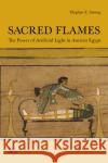 Sacred Flames: The Power of Artificial Light in Ancient Egypt Meghan E. Strong 9781649030009 American University in Cairo Press