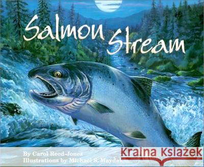 Salmon Stream Carol Reed-Jones Michael S. Maydak 9781584690139 Dawn Publications (CA) - książka