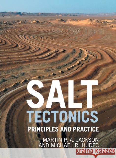 Salt Tectonics: Principles and Practice Martin P. a. Jackson Michael R. Hudec M. P. A. Jackson 9781107013315 Cambridge University Press - książka