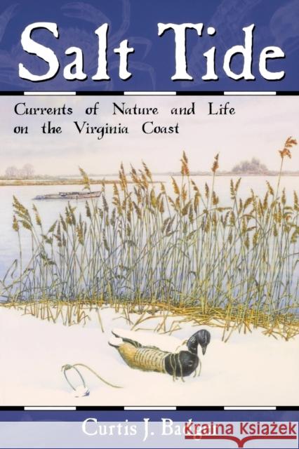 Salt Tide: Cycles and Currents of Life Along the Coast Curtis J. Badger Harry Jaecks Harry Jaeks 9780881504637 Countryman Press - książka