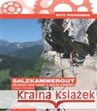 Salzkammergut Daniel Polman 9788085613582 Alpy Praha - książka