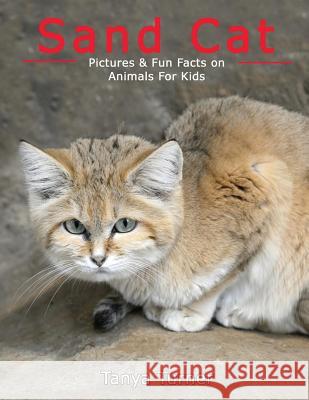 Sand Cat: Pictures & Fun Facts on Animals For Kids Ideaspun 9781546961574 Createspace Independent Publishing Platform - książka