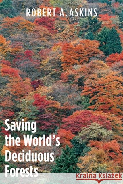 Saving the World's Deciduous Forests: Ecological Perspectives from East Asia, North America, and Europe Askins, Robert A. 9780300166811 Yale University Press - książka