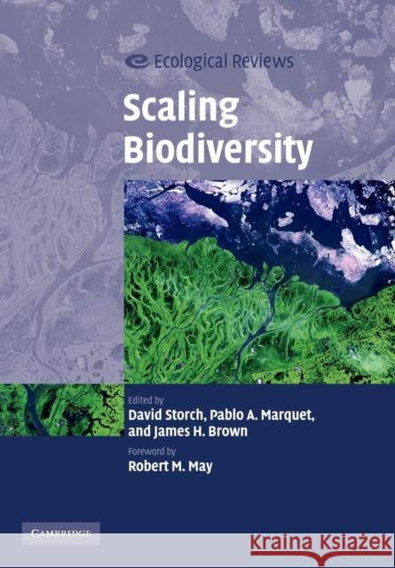 Scaling Biodiversity David Storch Pablo A. Marquet James H. Brown 9780521699372 Cambridge University Press - książka