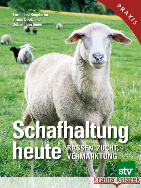 Schafhaltung heute Ringdorfer, Ferdinand, Deutz, Armin, Gasteiner, Johann 9783702018948 Stocker - książka