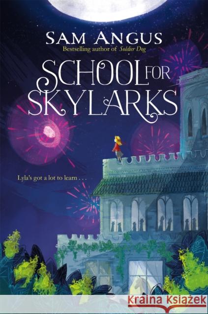 School for Skylarks Angus, Sam 9781509839599  - książka