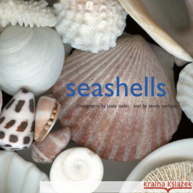 Seashells Josie Iselin Sandy Carlson 9780810993273 HNA Books - książka