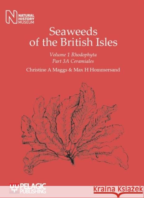 Seaweeds of the British Isles: Ceramiales Maggs, Christine a. 9781907807718 Pelagic Publishing Ltd - książka