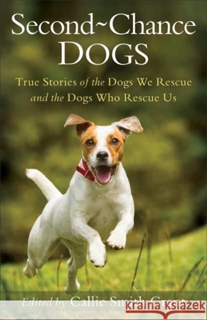 Second-Chance Dogs: True Stories of the Dogs We Rescue and the Dogs Who Rescue Us Callie Smith Grant 9780800727130 Fleming H. Revell Company - książka