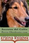 Secretos del Collie: Perro-Obediente.com Marcos Mendoza 9781523314454 Createspace Independent Publishing Platform