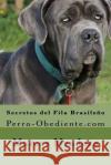 Secretos del Fila Brasileño: Perro-Obediente.com Mendoza, Marcos 9781523473984 Createspace Independent Publishing Platform