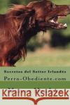 Secretos del Setter Irlandes: Perro-Obediente.com Marcos Mendoza 9781523473205 Createspace Independent Publishing Platform