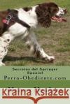 Secretos del Springer Spaniel: Perro-Obediente.com Marcos Mendoza 9781523424573 Createspace Independent Publishing Platform