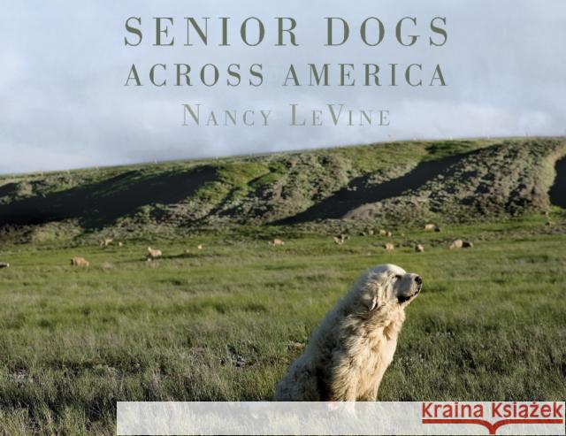Senior Dogs Across America: Portraits of Man's Best Old Friend Nancy Levine 9780764351112 Schiffer Publishing - książka