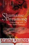 Shamanic Dreaming: Connecting with Your Inner Visionary Carol Day Sandra Ingerman 9781644117033 Inner Traditions Bear and Company