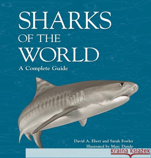 Sharks of the World: A Complete Guide David A. Ebert Sarah Fowler Marc Dando 9780691205991 Princeton University Press - książka