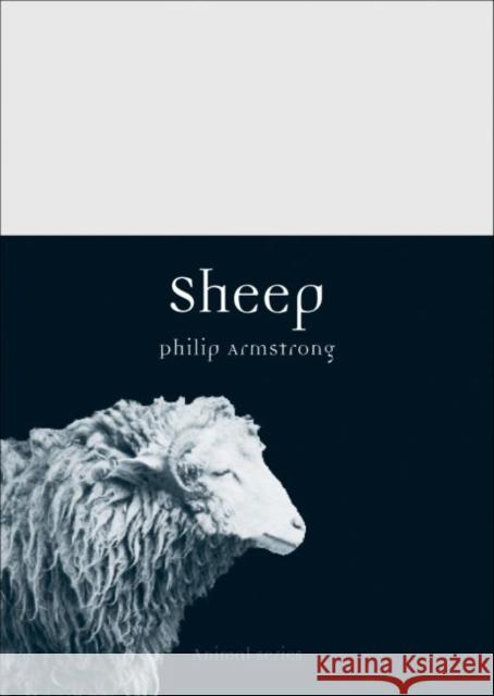 Sheep Philip Armstrong 9781780235936 Reaktion Books - książka