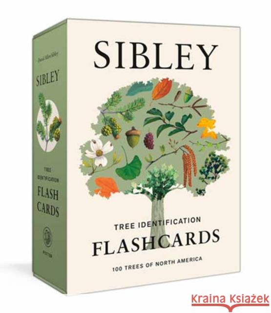 Sibley Tree Identification Flashcards: 100 Trees of North America David Allen Sibley 9780593578551 Clarkson Potter Publishers - książka