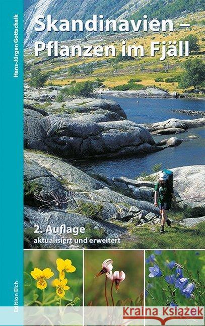 Skandinavien - Pflanzen im Fjäll : Bestimmungsbuch für Gebirgsflora Gottschalk, Hans-Jürgen 9783937452326 Edition Elch - książka