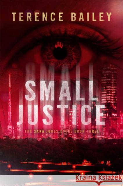 Small Justice: The Sara Jones Cycle Terence Bailey 9781786153814 Headline Publishing Group - książka