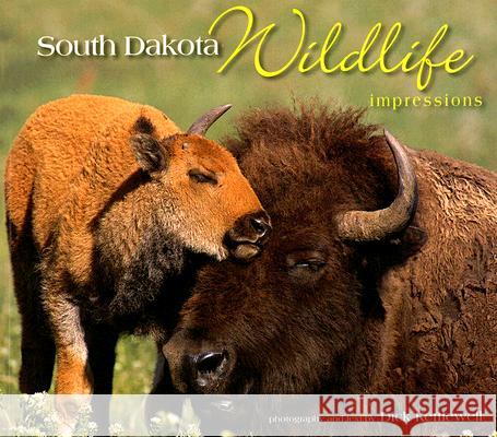 South Dakota Wildlife Impressions Dick Kettlewell 9781560373865 Farcountry Press - książka