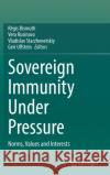 Sovereign Immunity Under Pressure: Norms, Values and Interests R Bismuth Vera Rusinova Vladislav Starzhenetskiy 9783030877057 Springer
