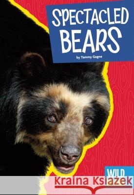 Spectacled Bears Tammy Gagne 9781607537786 Amicus High Interest - książka