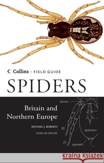 Spiders of Britain and Northern Europe Michael J. Roberts 9780002199810 HarperCollins Publishers - książka