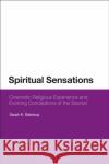 Spiritual Sensations: Cinematic Religious Experience and Evolving Conceptions of the Sacred Sarah K. Balstrup 9781350130173 Bloomsbury Academic
