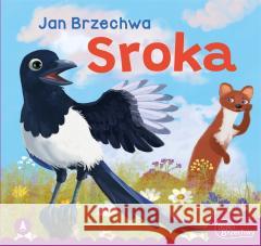 Sroka Jan Brzechwa 9788382073485 Skrzat - książka